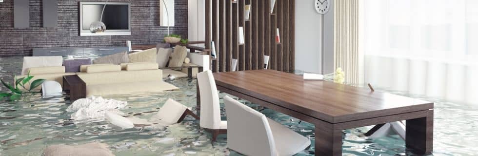 waterleak9 waterleak9